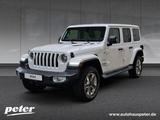 Jeep Wrangler Unlimited 2.0 T-GDI Sahara - Jeep Wrangler in Erfurt
