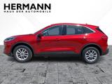 Ford Kuga 2.5 Duratec PHEV Titanium AHK*CAM*LED*NAVI - rote Ford Kuga