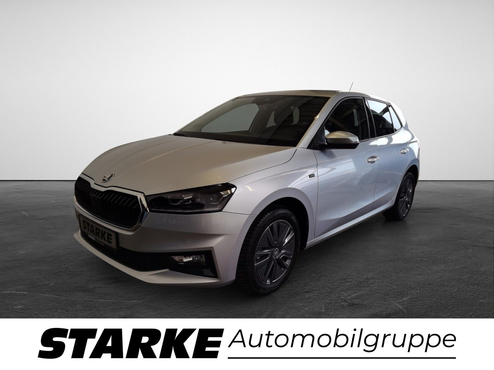 Skoda Fabia 1.0 TSI DSG Tour  Navi LED Kamera PDC LM T