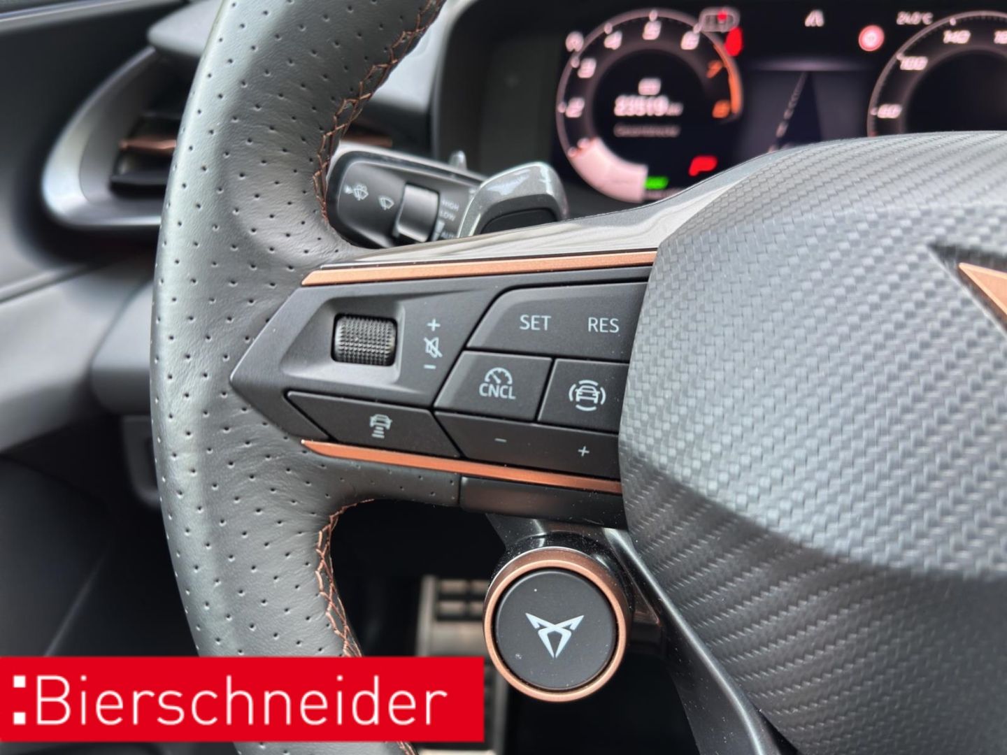 Cupra Terramar - Bild 38