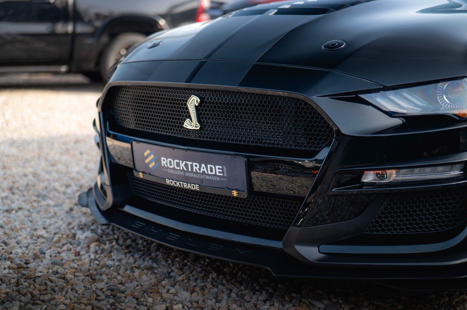 Fahrzeugabbildung Ford Mustang Shelby GT 500 5.0 V8 Performance PREMIUM