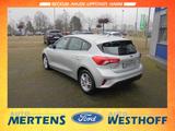 Ford Focus C+C 1.0 Automatik Navi Kamera Winter-Paket - Ford Focus Gebrauchtwagen in Hamm