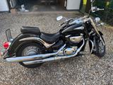 Suzuki Volusia 800 VL (Cruiser) - wenig km - SUZUKI C 800