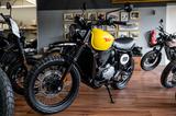 BSA Scrambler 650 ABS, Lieferservice - Offers