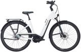 Pegasus Premio EVO 5F Lite Belt L (28 Zoll) - Pegasus E-Bikes