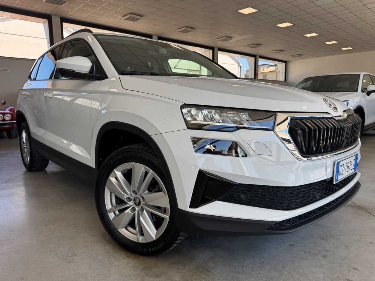 Skoda Karoq 2.0 TDI Executive 150CV DSG imagem 2