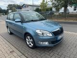 Skoda Fabia Combi (5J5) Greenline 1.2 TDI ... - Skoda Fabia: Greenline