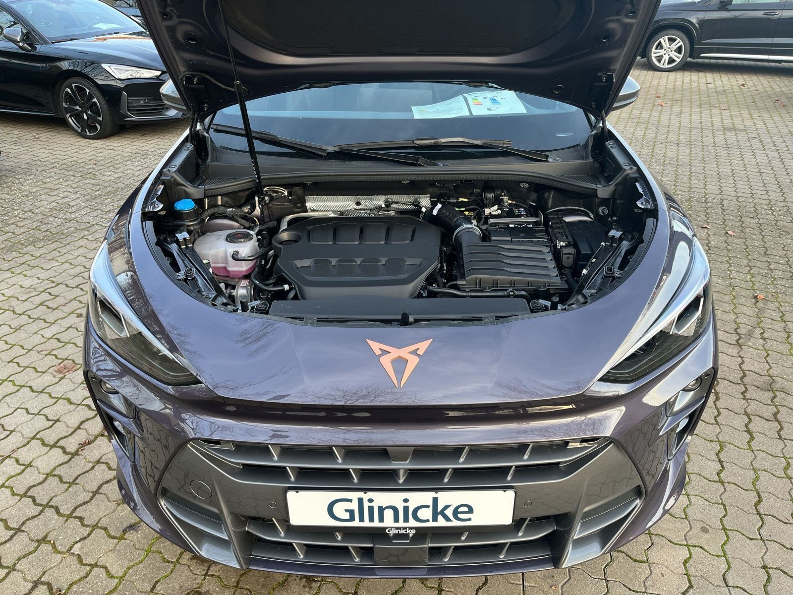 Cupra Terramar - Bild 17