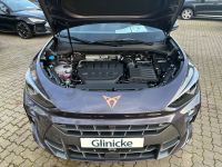 Cupra Terramar - Vorschau Bild 17