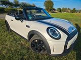 MINI Cooper Cabrio LED Leder Navi Temp Klima makellos