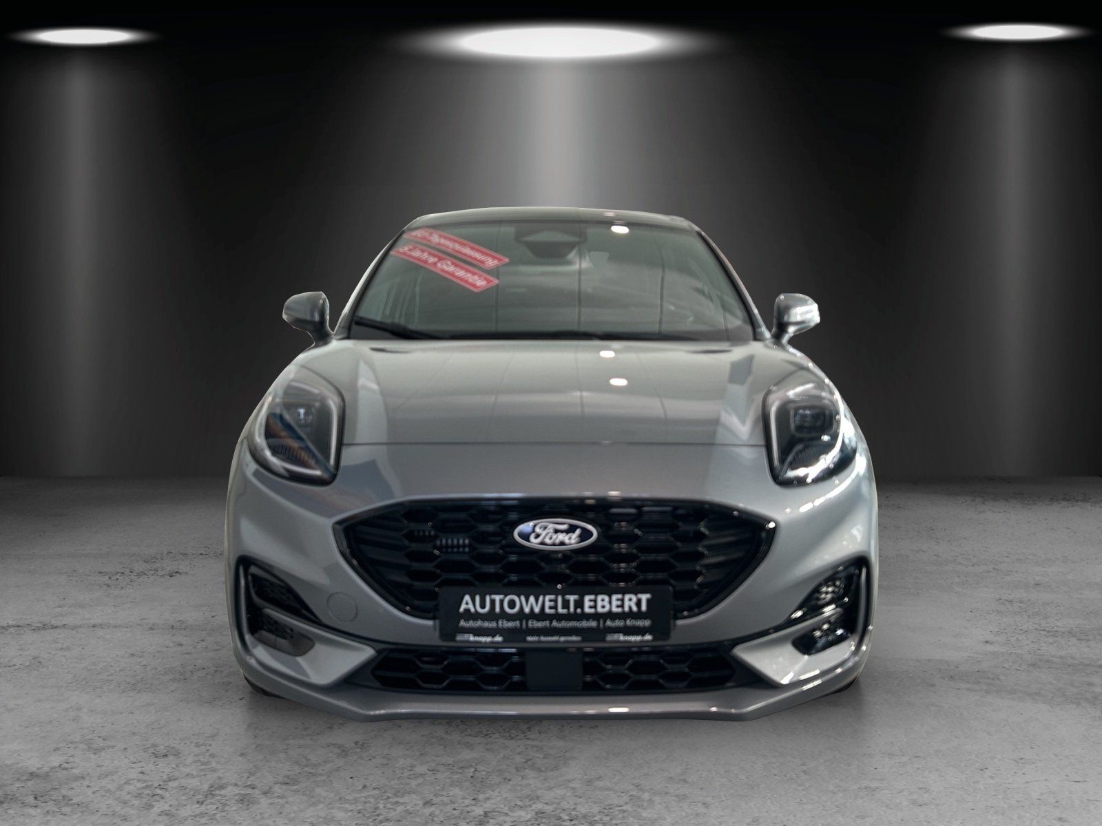 Fahrzeugabbildung Ford Puma ST Line,Panoramadach,FGS