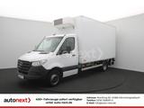 Mercedes-Benz Sprinter 516 Maxi *ThermoKing V500-MAX -20°* LBW - Mercedes-Benz Diesel Kühlkastenwagen Sprinter
