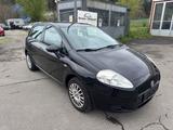 Fiat Punto 1.2 8V LOUNGE - Fiat Punto LOUNGE mit Benzin-Antrieb