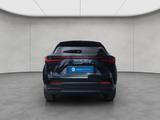 Lexus NX350h 4x4 Executive Alle Extras Modell2026 - Lexus NX 350h Neuwagen