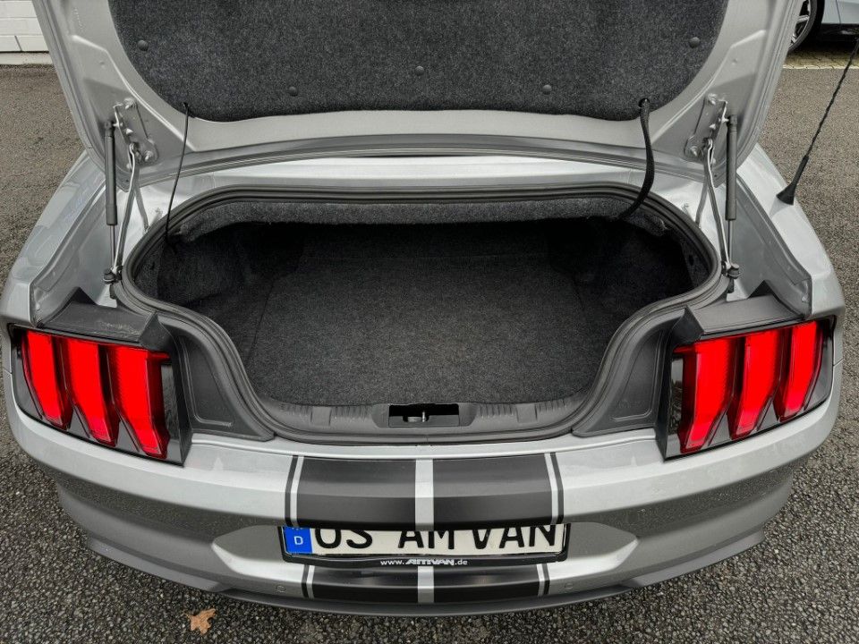 Fahrzeugabbildung Ford Mustang Cabrio 2.3 Premium Paket Leder 10-Gang