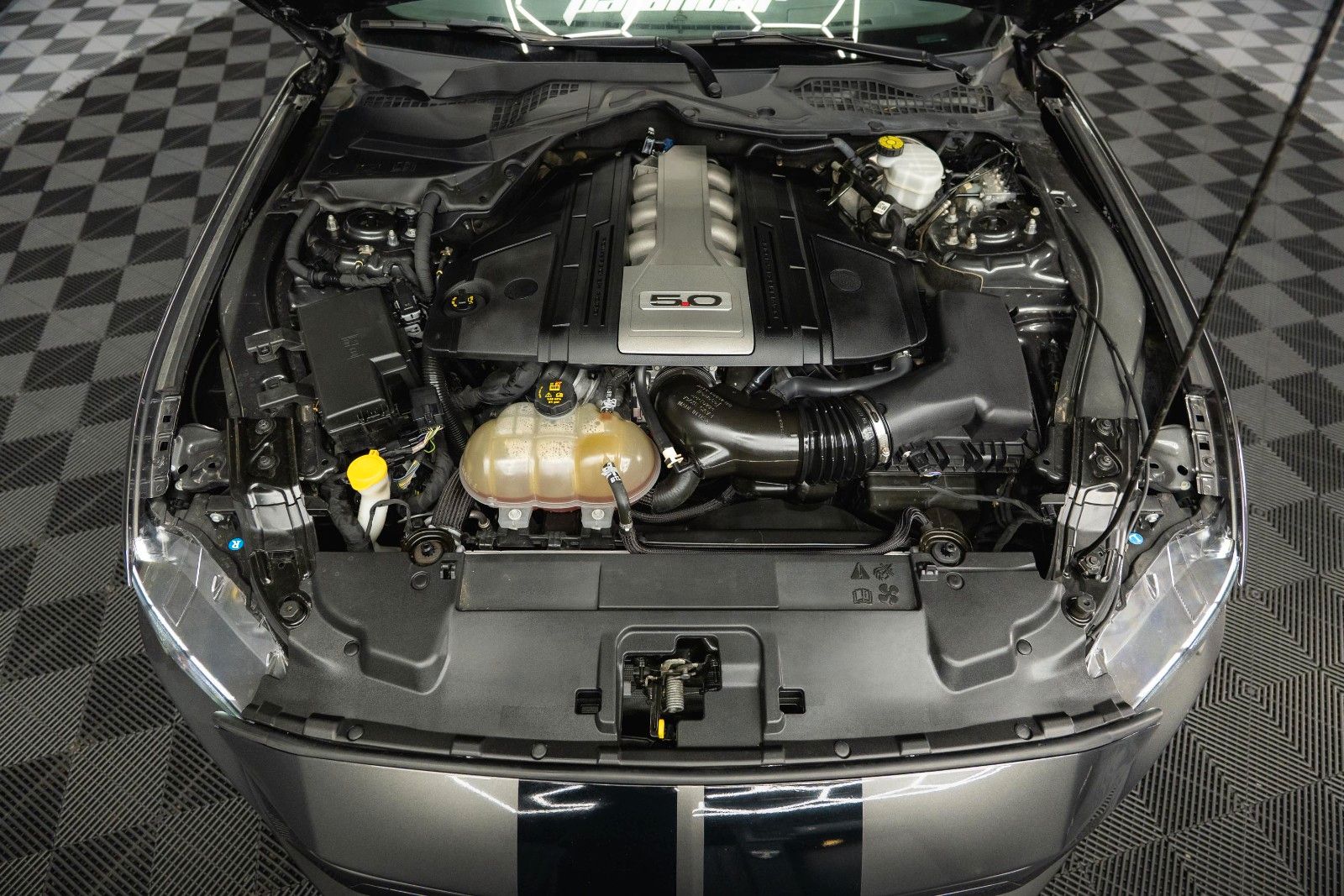 Fahrzeugabbildung Ford Mustang Shelby GT 500 5.0 V8 Performance 6-Gang