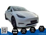Tesla Model Y Dual Performance Dual AWD - weiße Tesla Model Y
