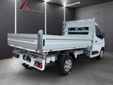 Nissan Interstar 3,5t dCi 150 PS L2H1 S-CAB 3-S-Kipper - Tier-/Pferdetransport 3 5t