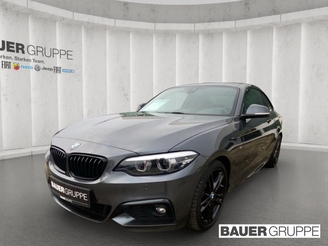 BMW 230 i M Sport Coupe Navi HiFi Shadow Line LED 18