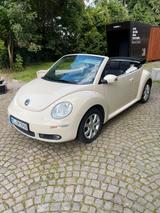 Volkswagen New Beetle 1.6 United Cabriolet United  - Volkswagen New Beetle: Beige