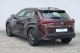 Lexus UX 250h Launch Edition - Lexus UX: Automatik