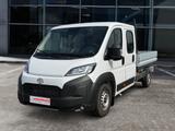 Toyota Proace Max 2.2-l-D 35 L3H1 Heavy Work - Tier-/Pferdetransport