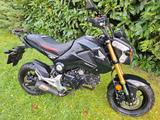 Honda MSX 125 - HONDA MSX