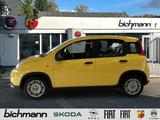 Fiat Panda Hybrid 1.0 Klima PDC DAB USB Kollisionswar - Fiat Panda: Gelb