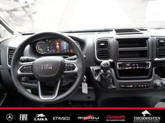 Autohaus Thorwesten Gebrauchtwagen