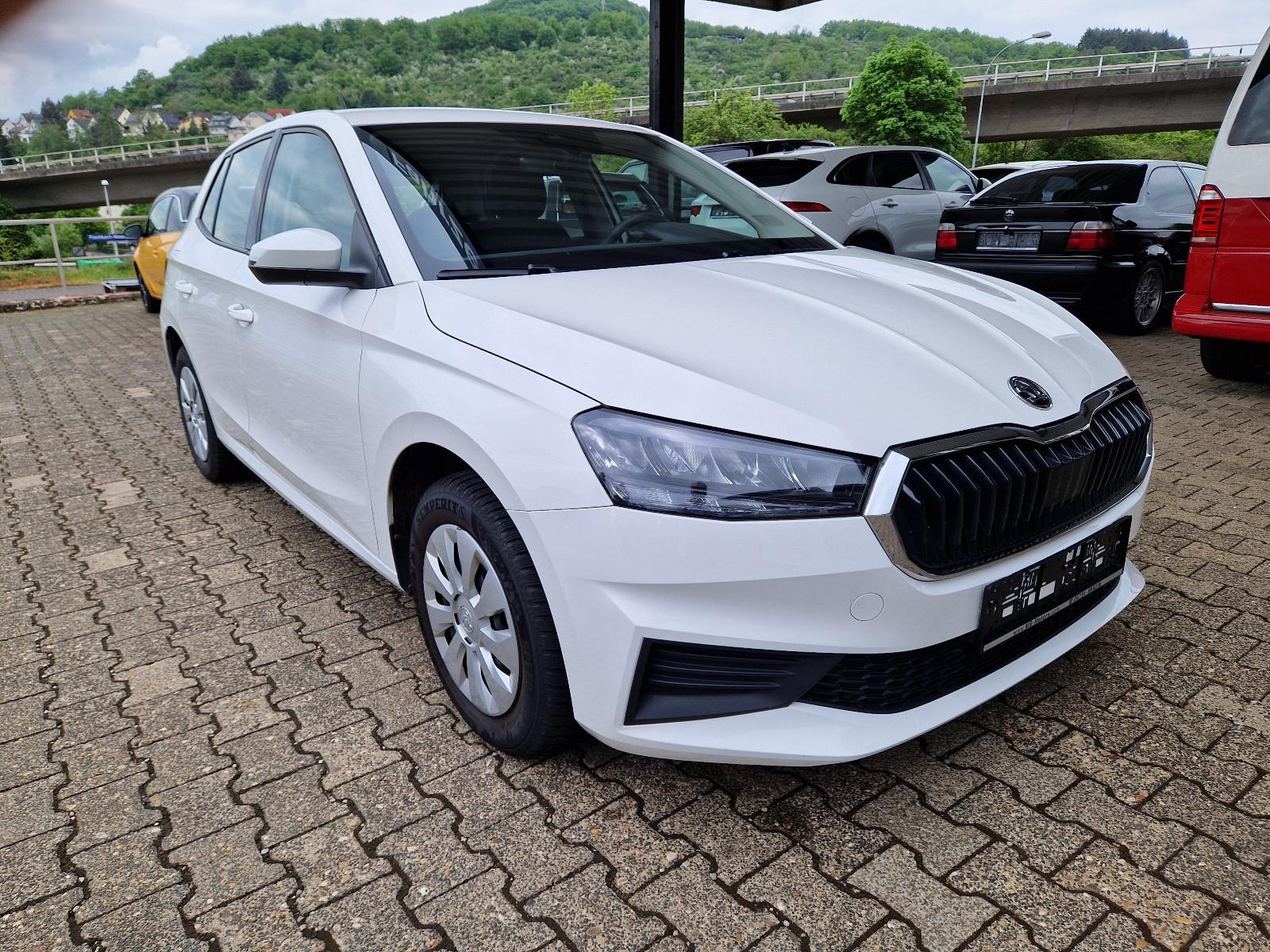 Skoda Fabia Active 1,0 1.Hand 4-trg 50000km