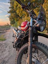 Triumph Street Scrambler Top Zustand Vance&Hines,Fox - TRIUMPH STREET