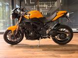Triumph Speed Triple 1050 Edition 94 Bestzustand ! ! - TRIUMPH SPEED TRIPLE 1050