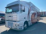 DAF XF95.380 9x Horse Box / 9x Pferdebox / - DAF Xf 95