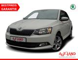 Skoda Fabia 1.2 Ambition Sitzheizung Tempomat PDC - Skoda Fabia: Ambition