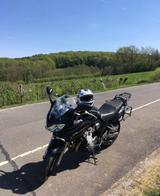 Suzuki Bandit GSF 600 S- WERKSTATTGEPRÜFT +Seitenkoff - Offers
