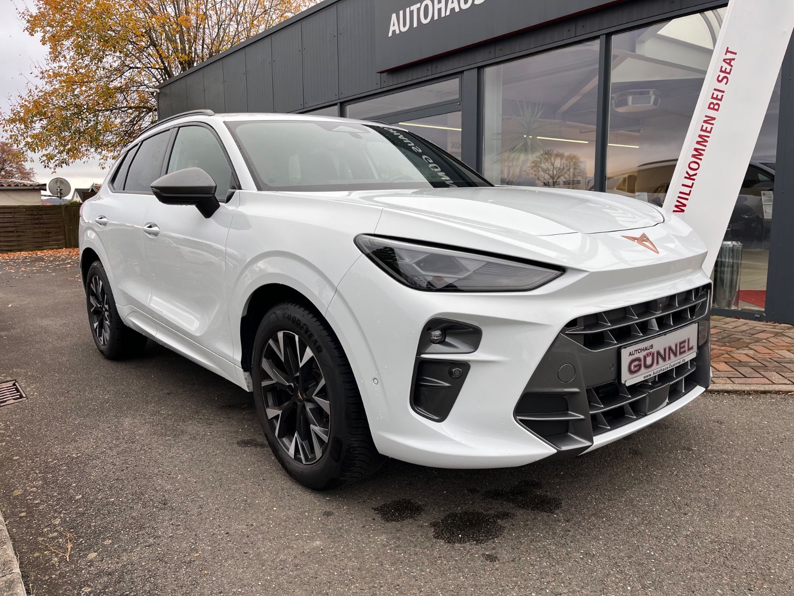 CUPRA Terramar 1.5eTSI DESIGN+EDGE+INTELLIGENT+DIGITAL