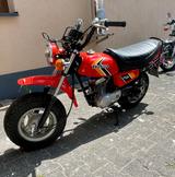 Honda CY 50 - HONDA CY 50