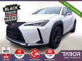 Lexus UX 250h Launch Edition LED Nav ParkAs KeyL SHZ - Lexus aus 2019