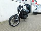 Benelli LEONCINO 500i Trail*Caferacer*Naked-Bike - BENELLI LEONCINO 500 TRAIL
