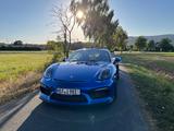 Porsche Cayman GT4 981 - Porsche Cayman: Gt4