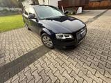 Audi A3 Sportback 1.6 TDI Attraction - Audi A3 aus 2009: TDI
