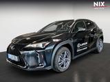 Lexus UX 300h 2.0 Hybrid F-Sport Design LED SHZ - Lexus UX 300h Gebrauchtwagen