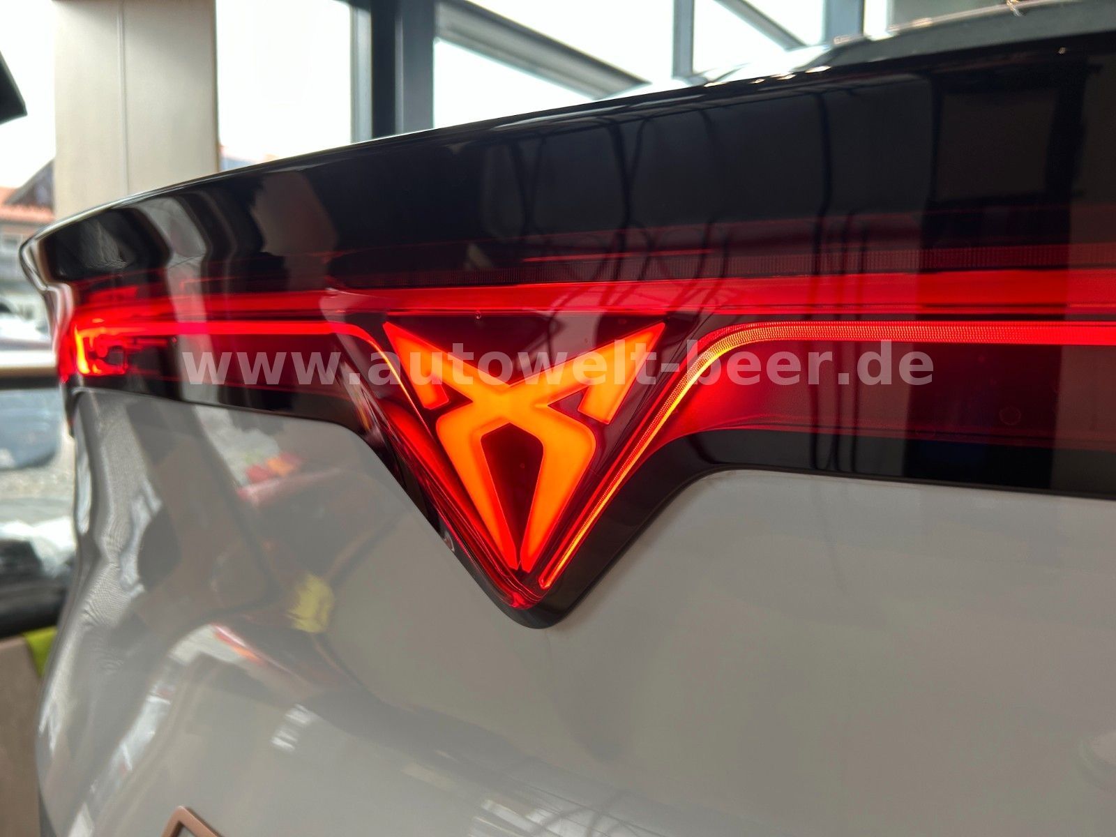 Cupra Tavascan - Bild 33