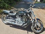 Harley-Davidson V-ROD MUSCLE VRSCF  - Offers