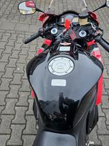 Honda CBR 600 RR NUR FÜR HÄNDLER ODER EXPORT!!! - HONDA CBR 600 F