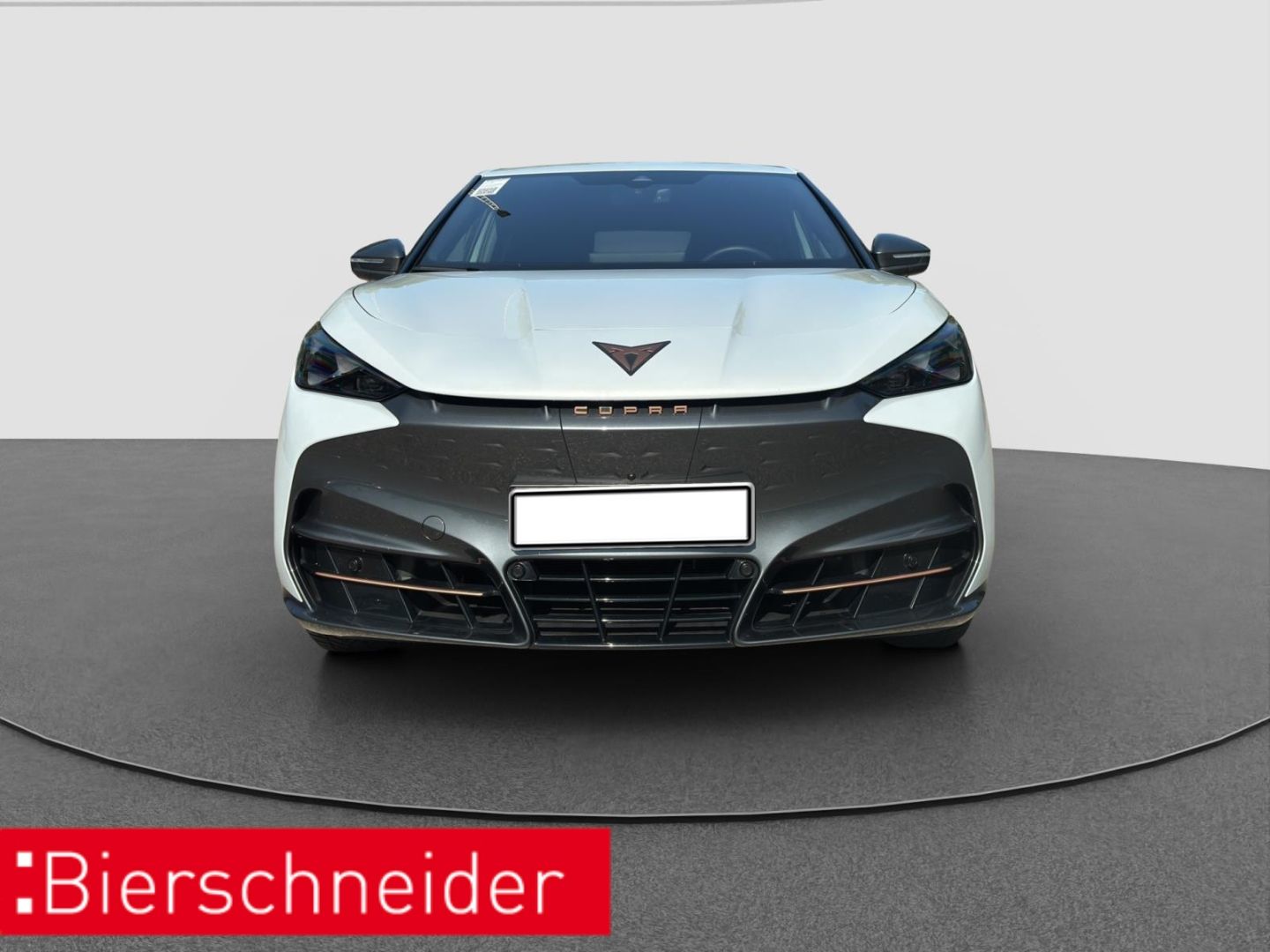 Cupra Tavascan Endurance ALCANTARA WÄPU NAVI 360 SHZ imagem 3