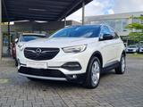 Opel Grandland Ultimate | Alwetter - Opel Grandland (X) Gebrauchtwagen in Düsseldorf