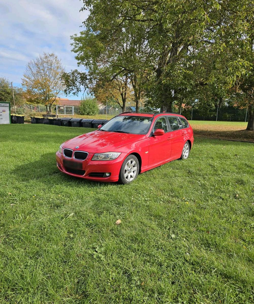 BMW 318 2011 — rear view