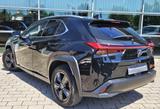 Lexus UX 250h Launch Edition - Lexus aus 2019