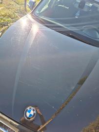 2012 BMW IX1 照片 8